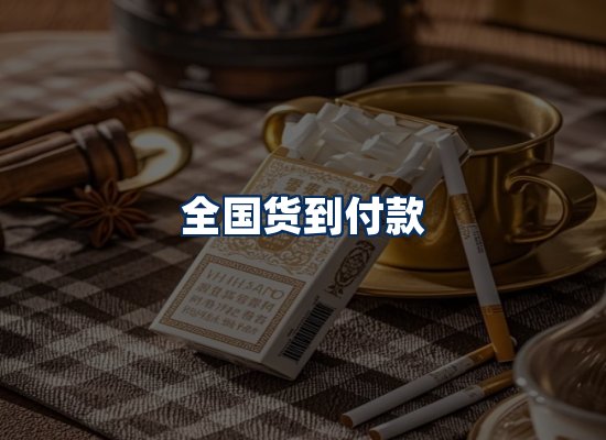 专业团队办公环境